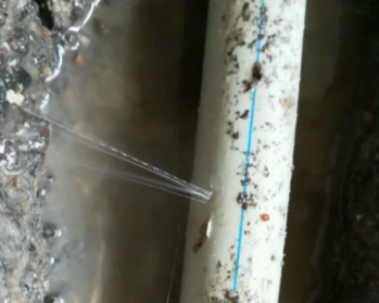 嘉陵卫生间测漏水多少钱